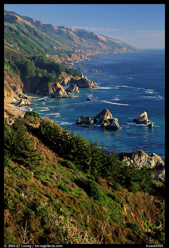 Costline from Partington Point, Julia Pfeiffer Burns State Park, late afternoon. Big Sur, California, USA