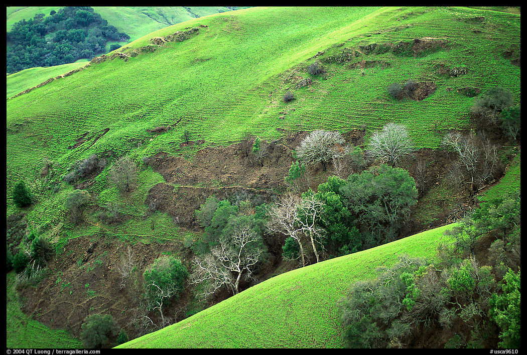 Rolling Hills in spring near San Luis Obispo. California, USA