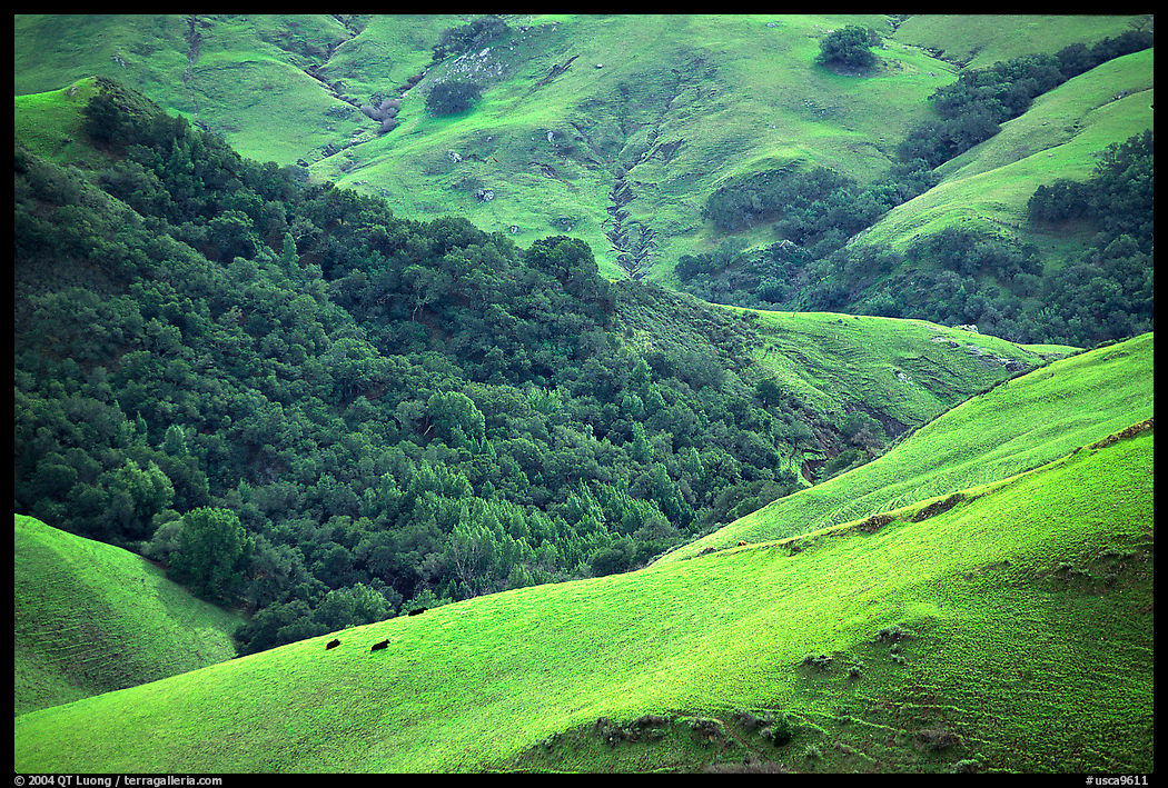 Rolling Hills in spring near San Luis Obispo. California, USA