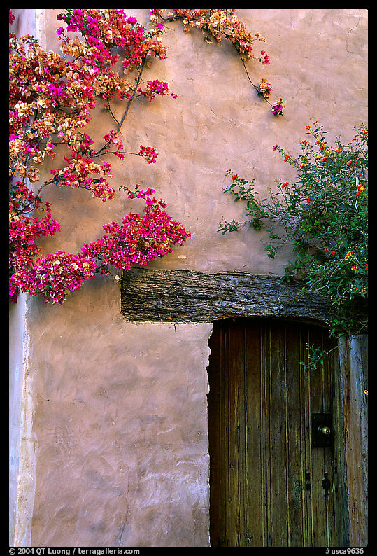 Flowers and wall, Carmel Mission. Carmel, California, USA