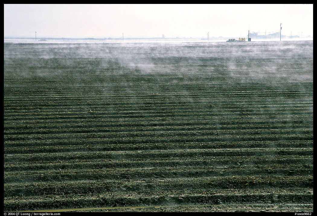 Mist and plowed field, San Joaquin Valley. California, USA