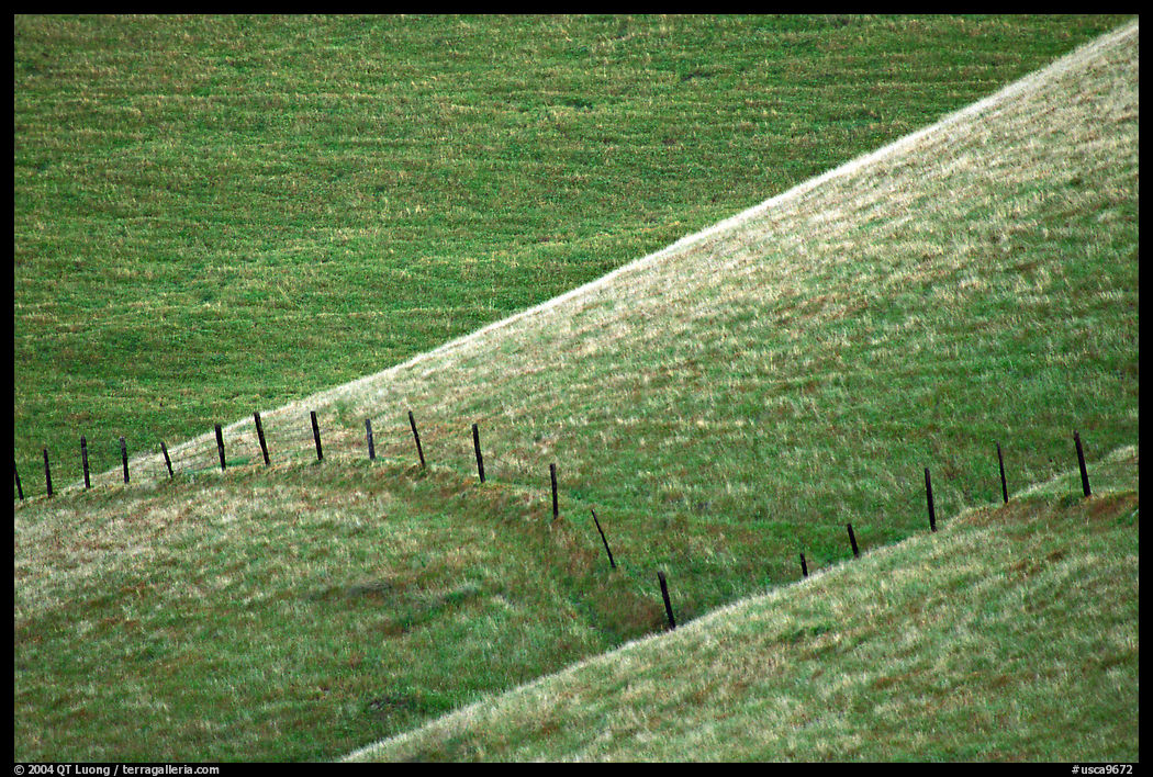 Fence on hill, Southern Sierra Foothills. California, USA