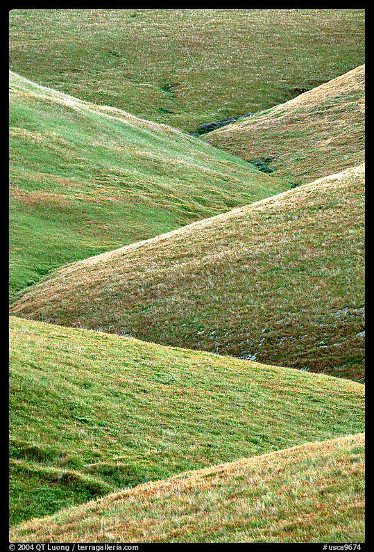 Ridges, Southern Sierra Foothills. California, USA