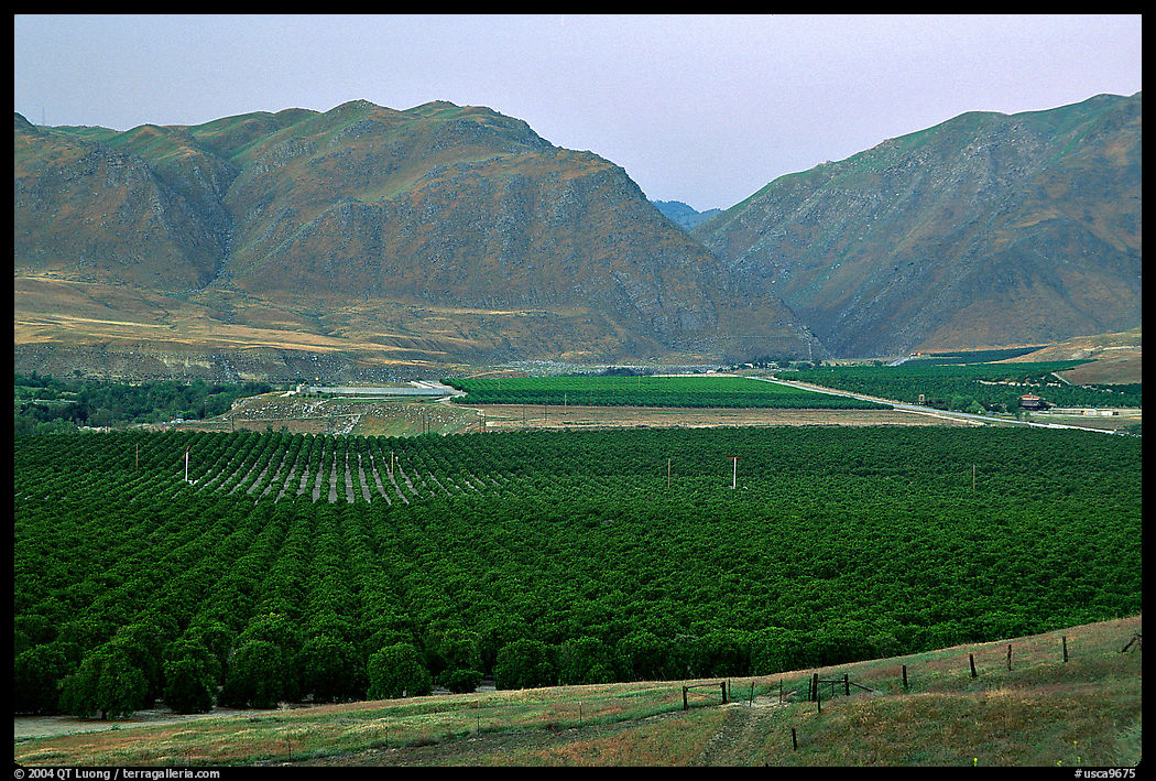Irigated farmlands, Southern Sierra Foothills. California, USA
