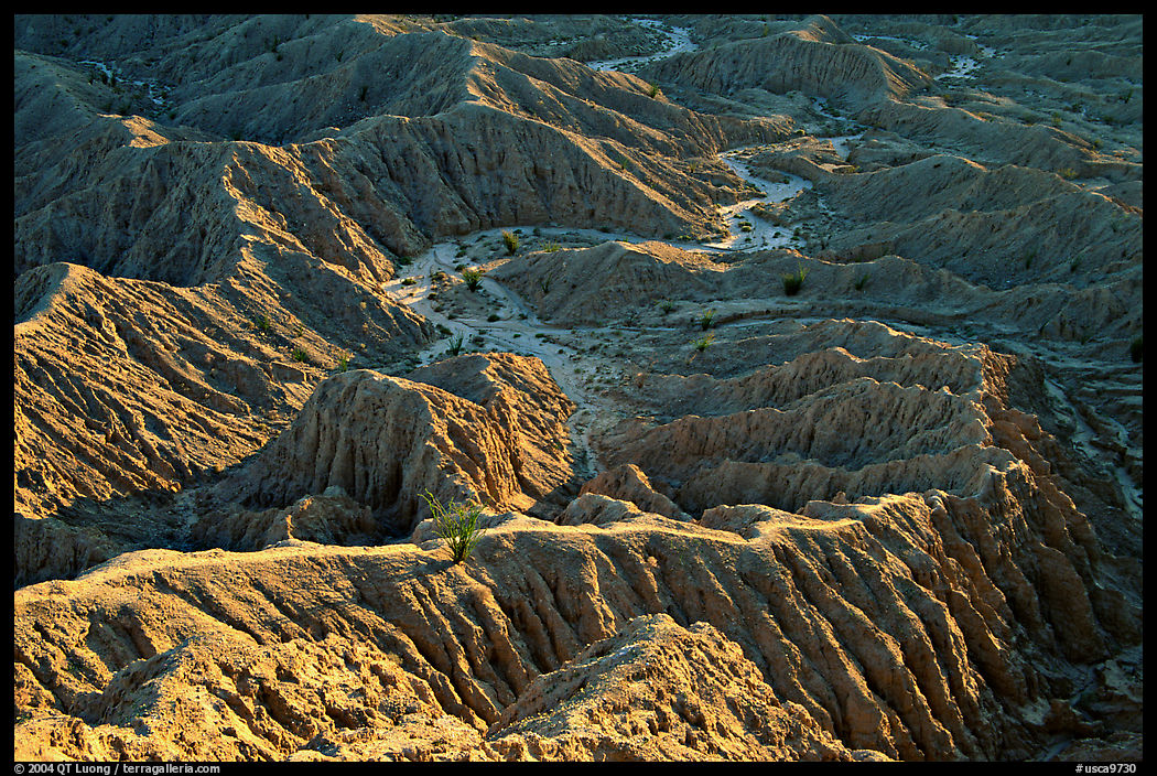 Erosion formations seen from Font Point. Anza Borrego Desert State Park, California, USA
