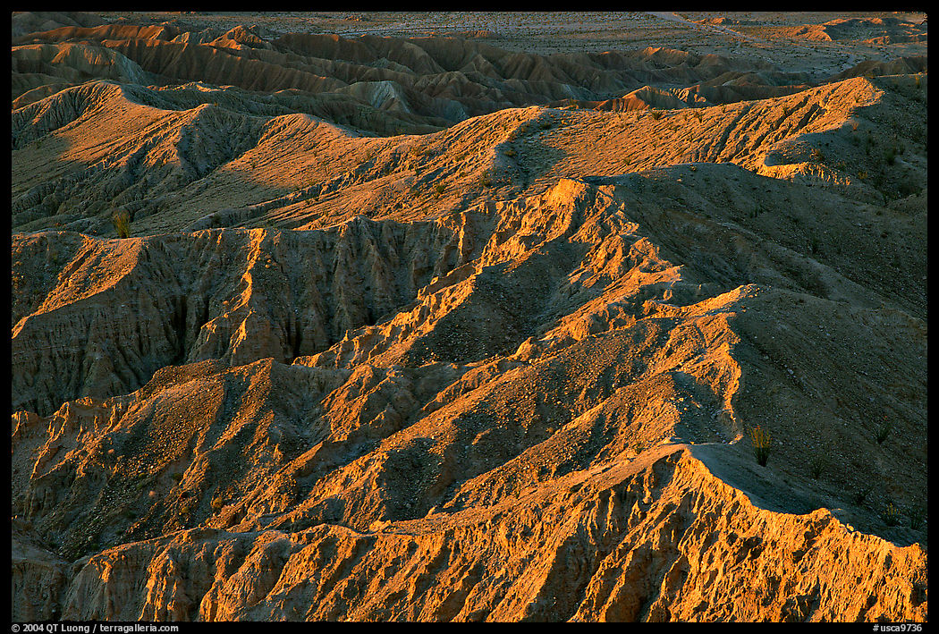 Erosion formations seen from Font Point. Anza Borrego Desert State Park, California, USA