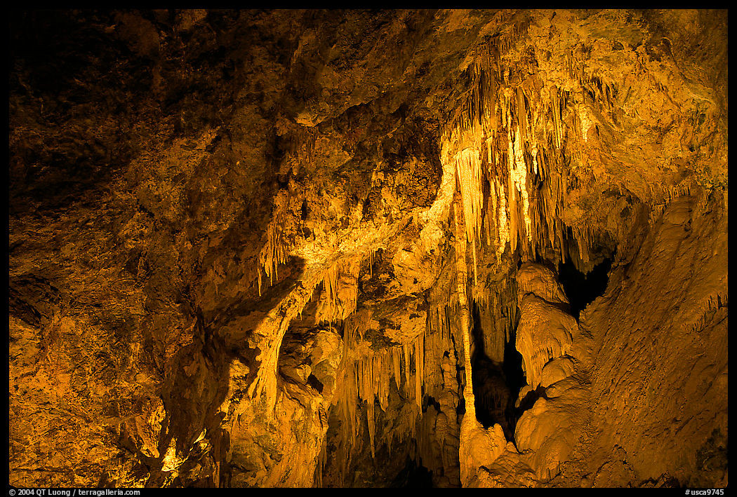 Delicate cave formations, Mitchell caverns. Mojave National Preserve, California, USA