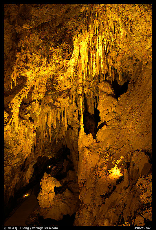 Delicate cave formations, Mitchell caverns. Mojave National Preserve, California, USA