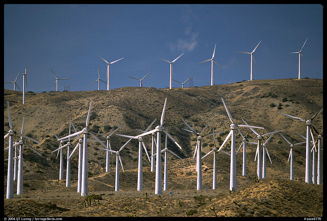 Electricity-generating Windmills, Horned Toad Hills near Mojave. California, USA