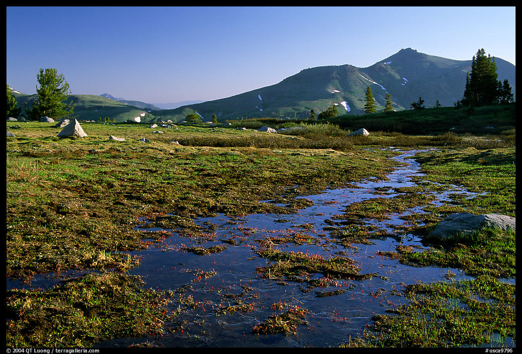 Flooded Meadow, early morning. Mokelumne Wilderness, Eldorado National Forest, California, USA