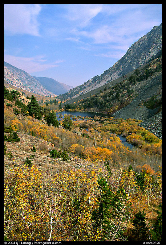 Lundy Canyon in the fall, Inyo National Forest. California, USA