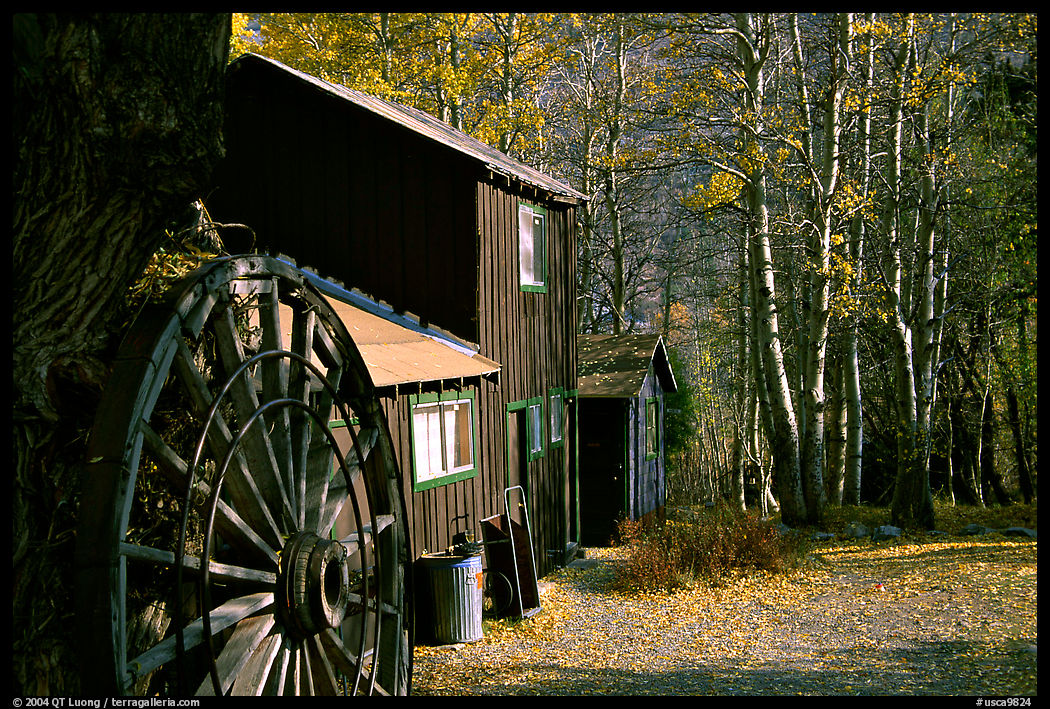 Rustic cabin, Lundy Canyon, Inyo National Forest. California, USA