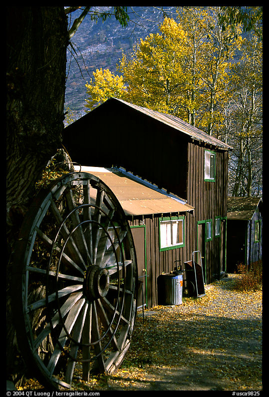 Rustic cabin, Lundy Canyon, Inyo National Forest. California, USA