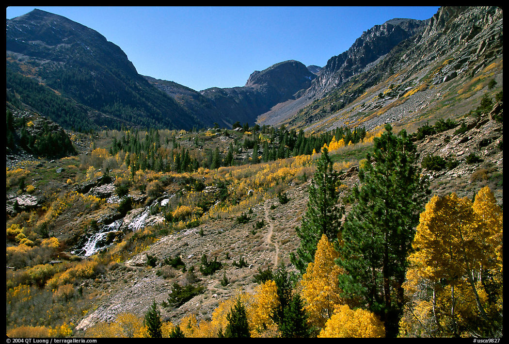 Lundy Canyon in the fall, Inyo National Forest. California, USA