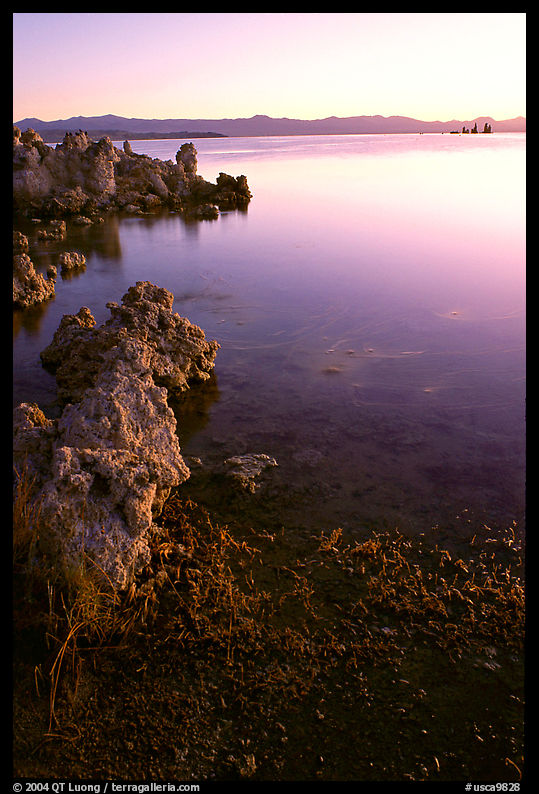 Tufas at sunrise. Mono Lake, California, USA