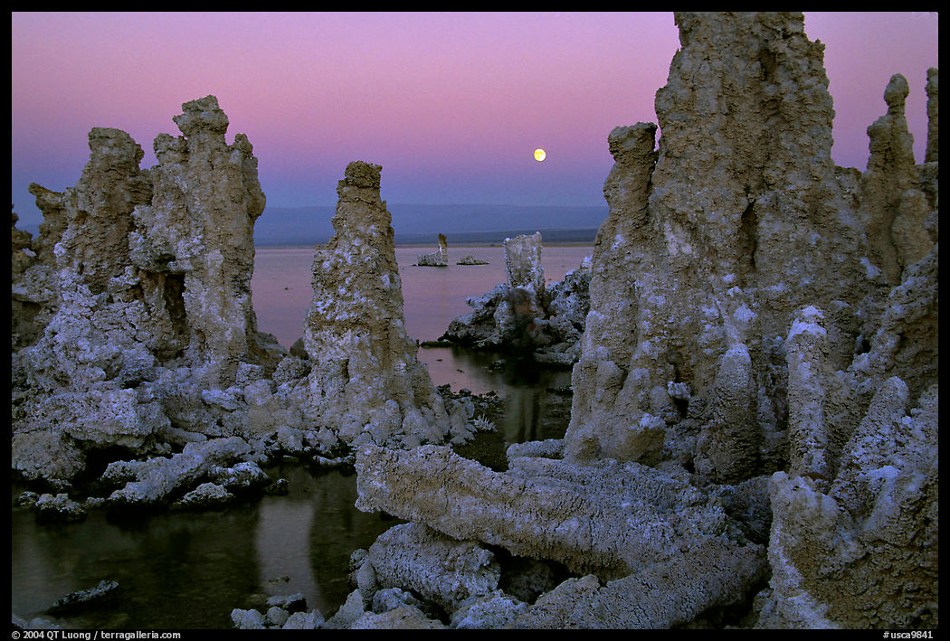 Tufa towers and moon, dusk. Mono Lake, California, USA