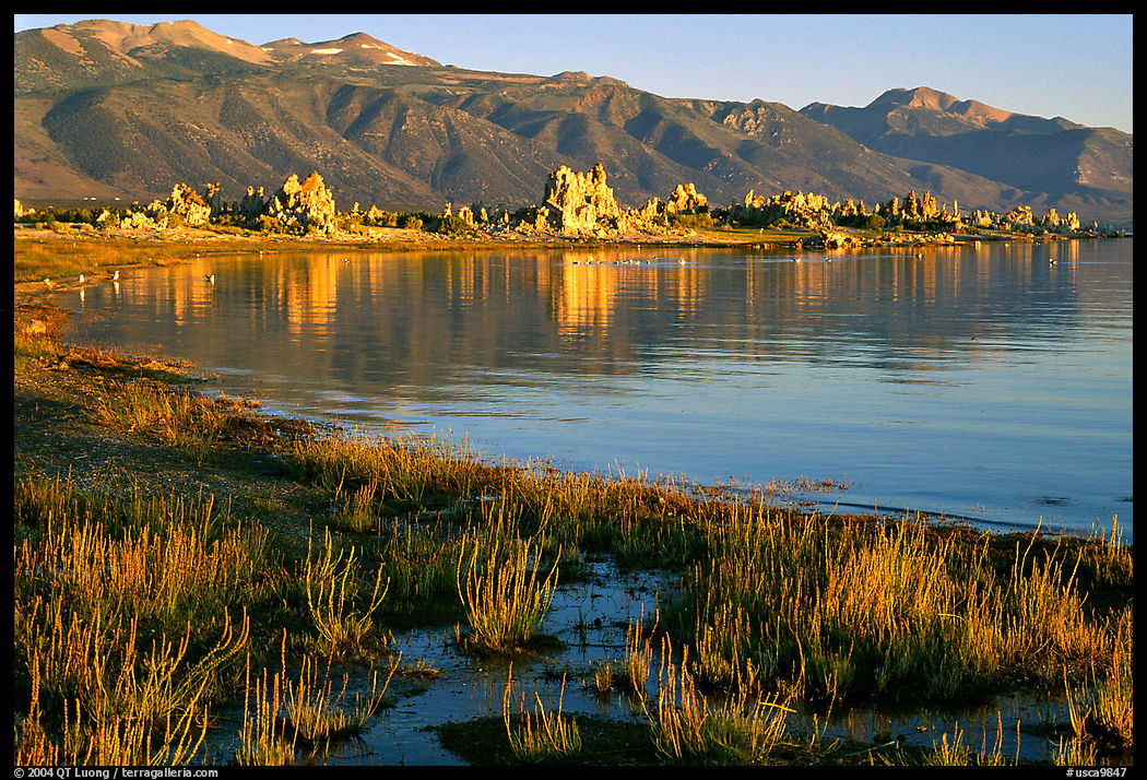 Grasses, tufa, and mountains, early morning. Mono Lake, California, USA