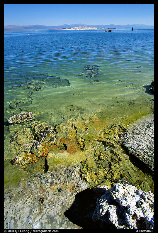 Colorful shores, mid-day. Mono Lake, California, USA