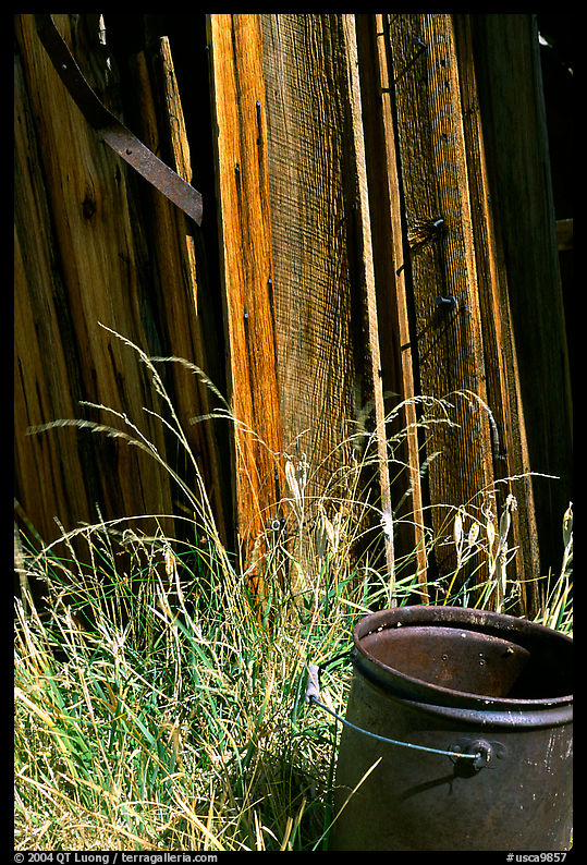 Bucket, grasses, and wall, Ghost Town, Bodie State Park. California, USA