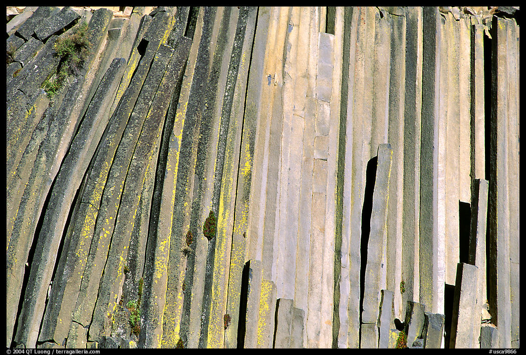 Hexagonal basalt colums, afternoon,  Devils Postpile National Monument. California, USA
