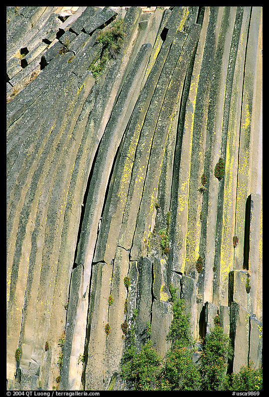 Columns of  basalt, afternoon,  Devils Postpile National Monument. California, USA
