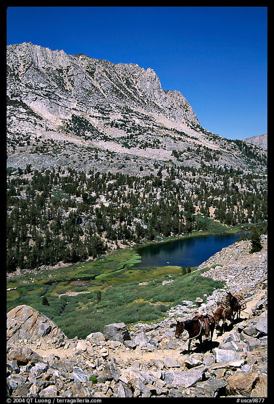 Horseback rider above Long Lake, Inyo National Forest. California, USA