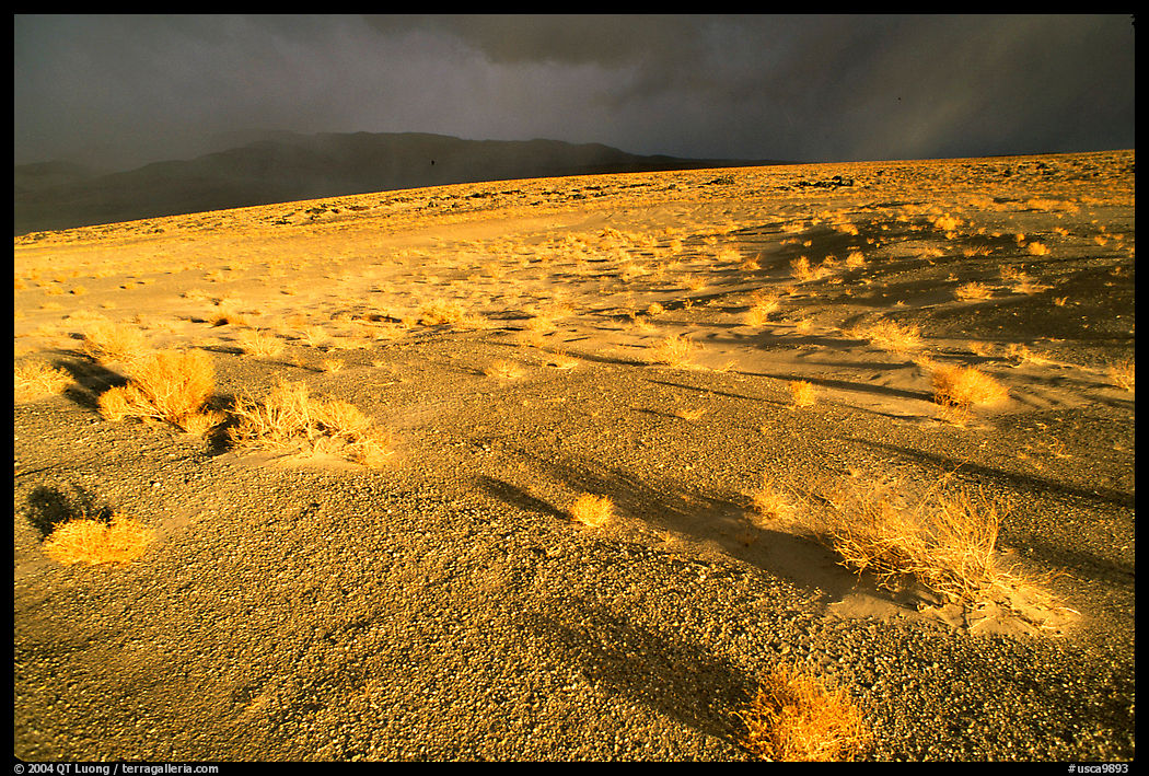 Basin with sage, Inyo Mountains  in stormy weather, late afternoon. California, USA