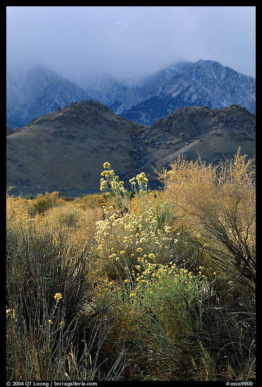 Approaching storm over the Sierra Nevada. California, USA