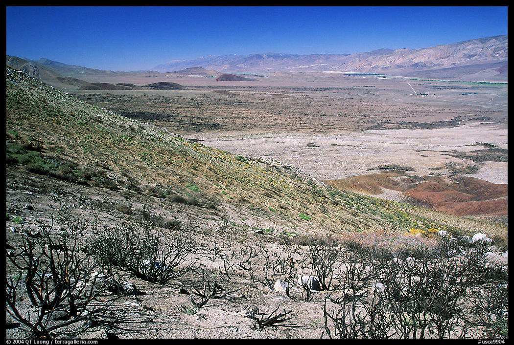 Owens Valley seen from the Sierra Nevada mountains. California, USA