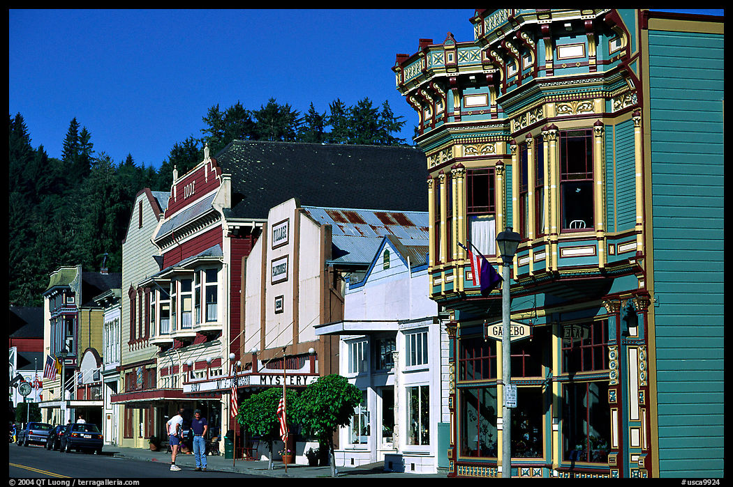 Row of Victorian Houses, Ferndale. California, USA