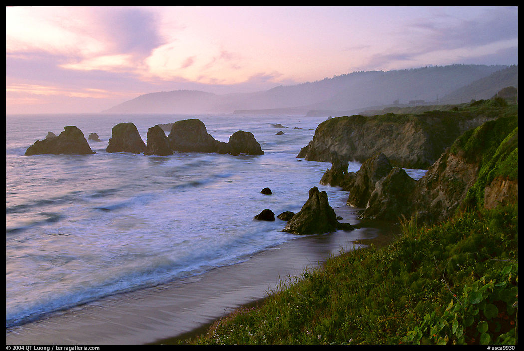 Coast with sea stacks near Rockport. California, USA