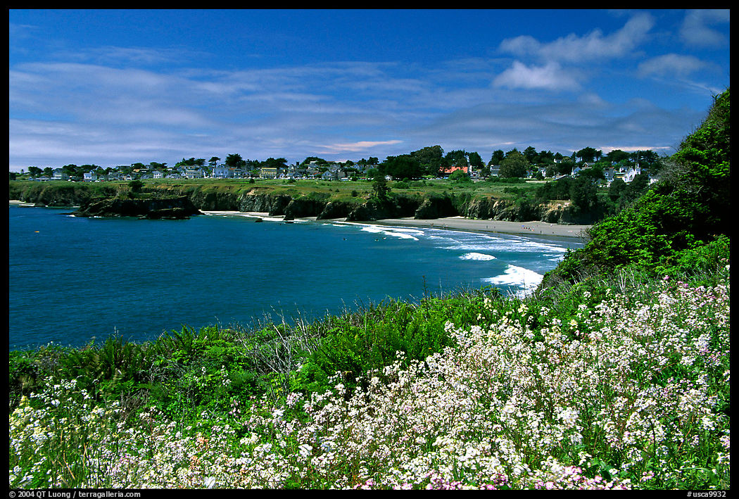 Spring wildflowefrs and Ocean, Mendocino in the background. California, USA