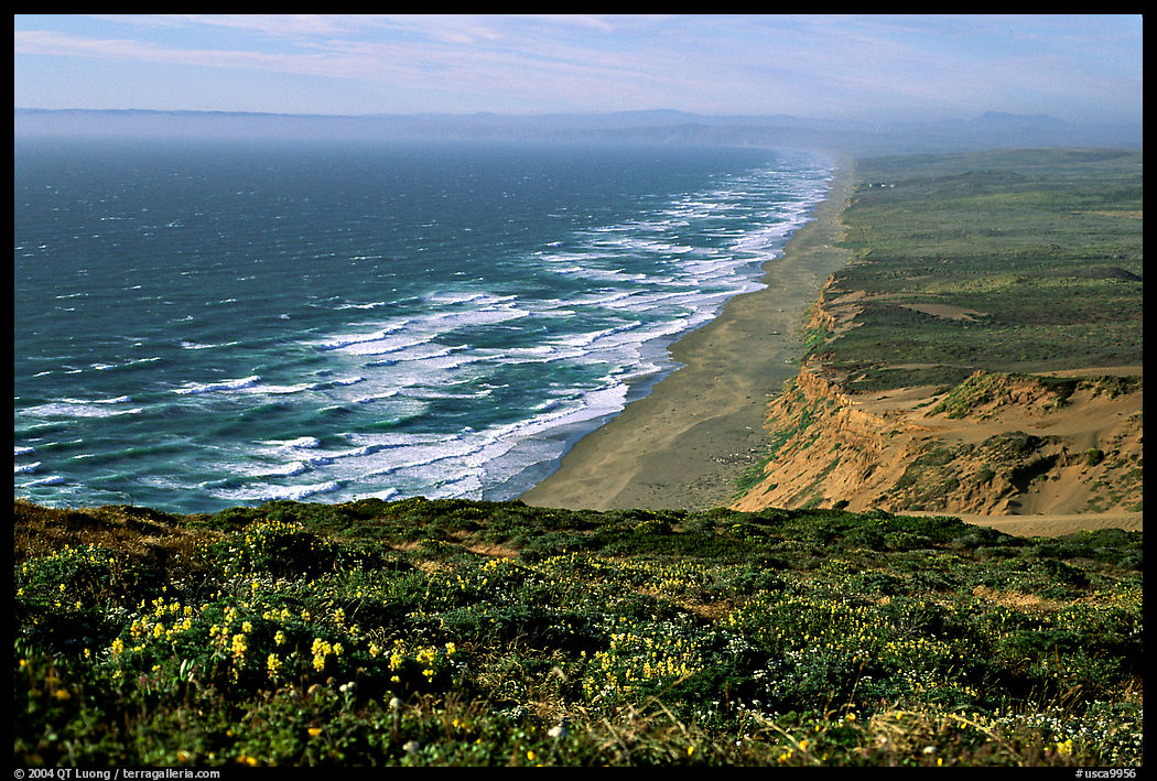 Point Reyes Beach, afternoon. Point Reyes National Seashore, California, USA