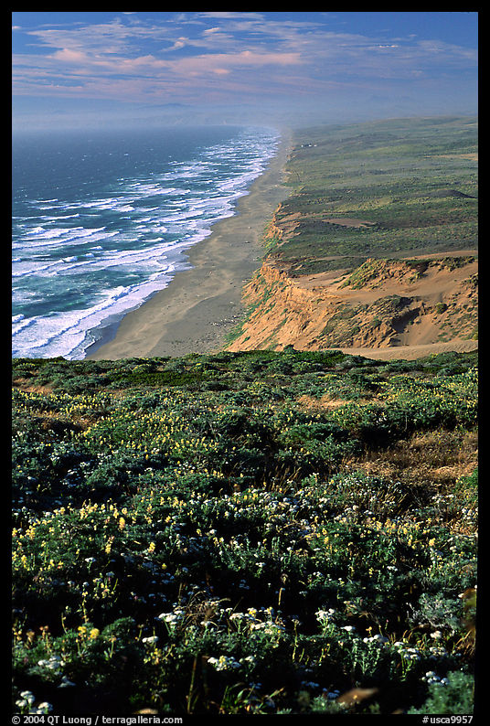 Point Reyes Beach, afternoon. Point Reyes National Seashore, California, USA