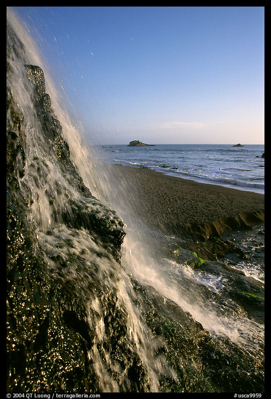 Alamere Falls, afternoon. Point Reyes National Seashore, California, USA