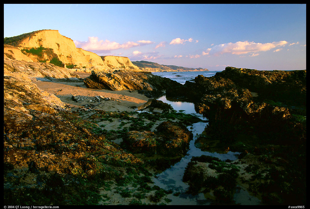 Mussels and Cliffs, Sculptured Beach, sunset. Point Reyes National Seashore, California, USA