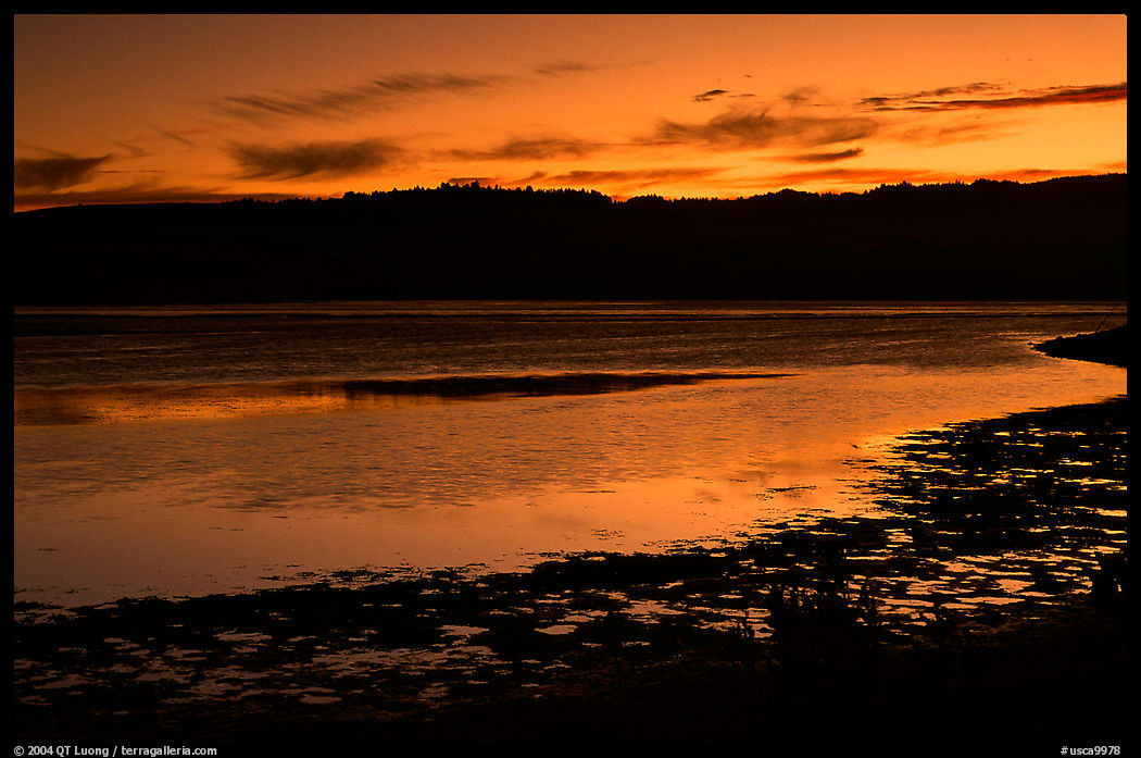 Bolinas Lagoon, sunset. SF Bay area, California, USA