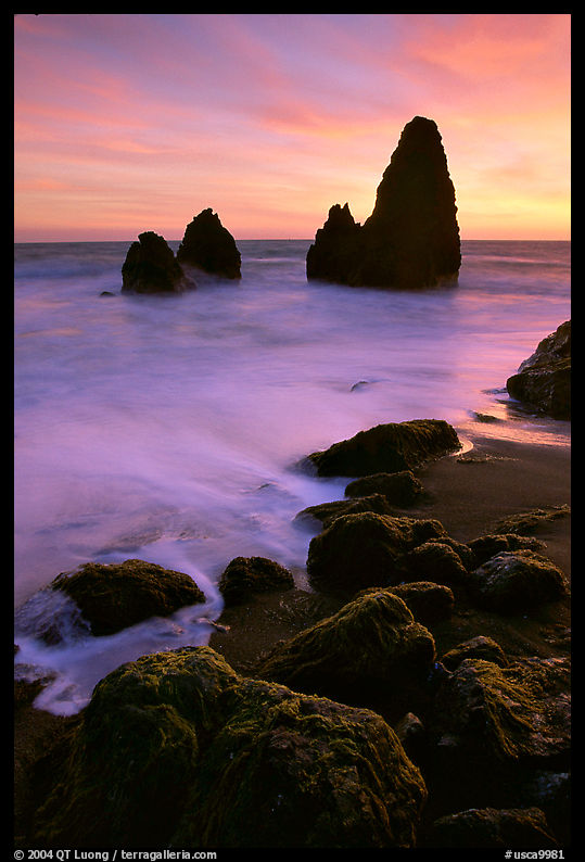 Seastacks, Rodeo Beach, Sunset. SF Bay area, California, USA