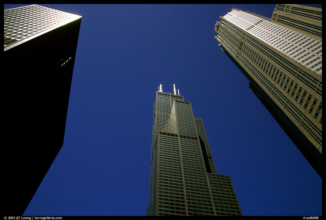 Upwards view of sears tower framed by other skyscrappers. Chicago, Illinois, USA