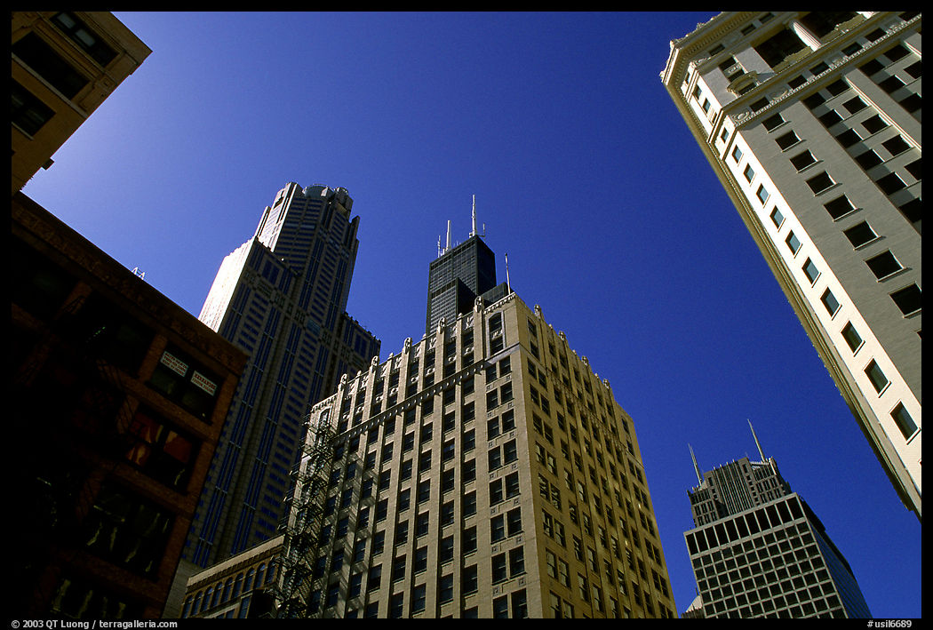Sears tower framed by other skyscrappers. Chicago, Illinois, USA