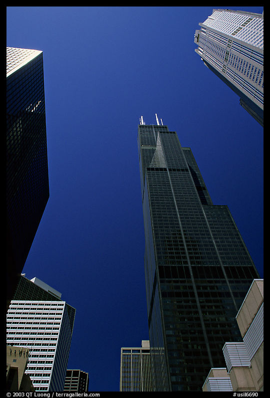Upwards views of Sears tower and  skyscrappers. Chicago, Illinois, USA