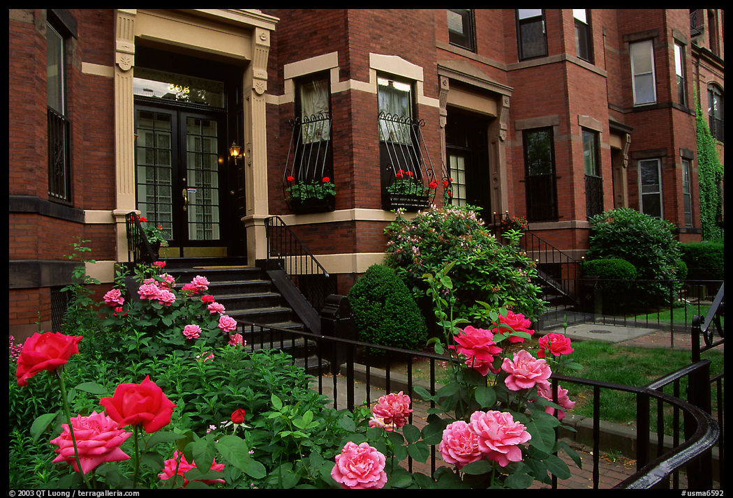Flowers and brick houses on Beacon Hill. Boston, Massachussetts, USA