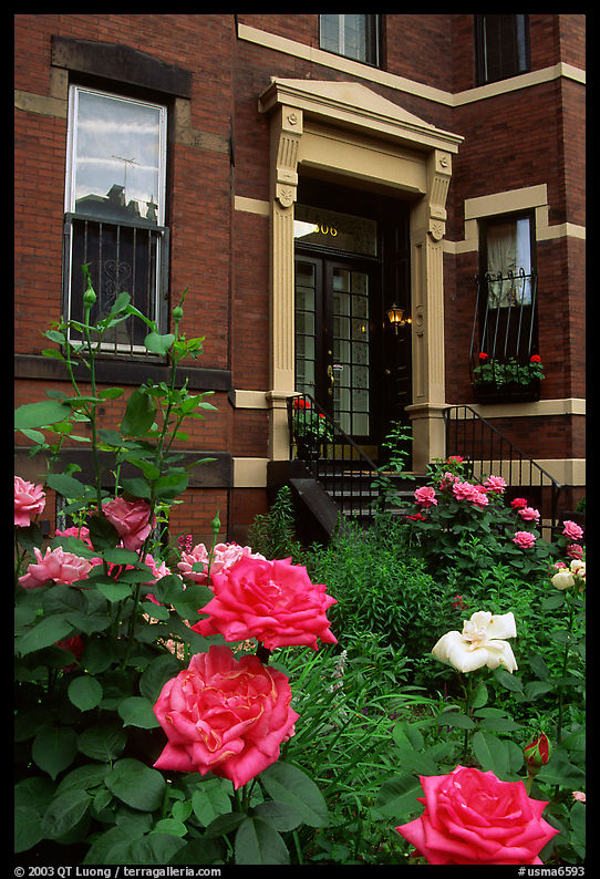 Flowers and brick houses on Beacon Hill. Boston, Massachussetts, USA