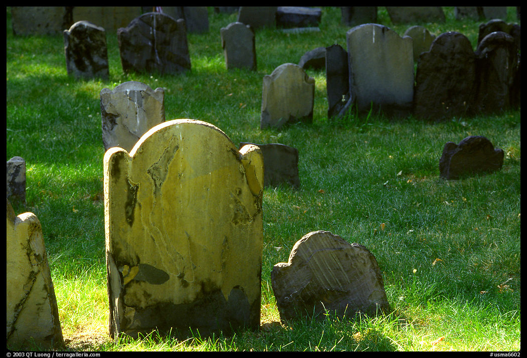 Tombstones in Copp's Hill cemetery. Boston, Massachussetts, USA