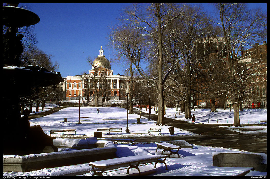 Boston common in winter. Boston, Massachussetts, USA