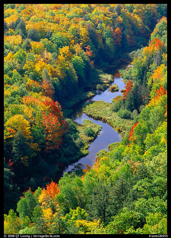 River and trees in autumn colors, Porcupine Mountains State Park. Upper Michigan Peninsula, USA