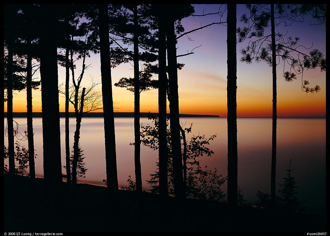 Trees and sunset, Lake Superior. USA