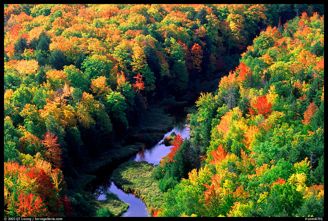 River and trees in autumn colors, Porcupine Mountains State Park. Upper Michigan Peninsula, USA