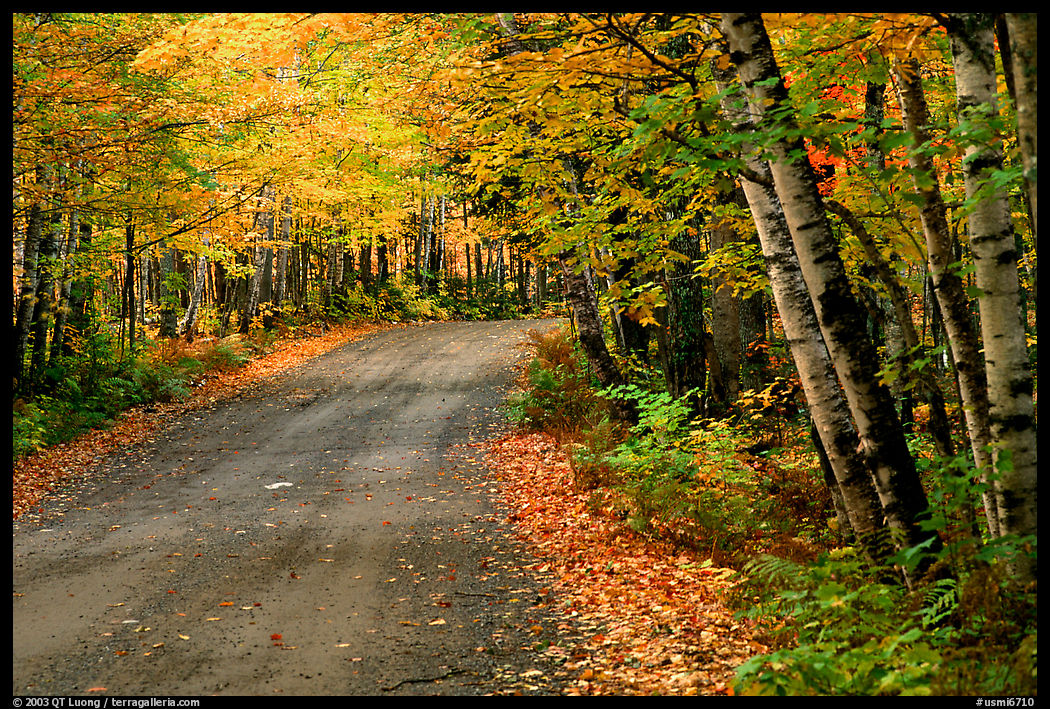 Rural road with fall colors, Hiawatha National Forest. Upper Michigan Peninsula, USA
