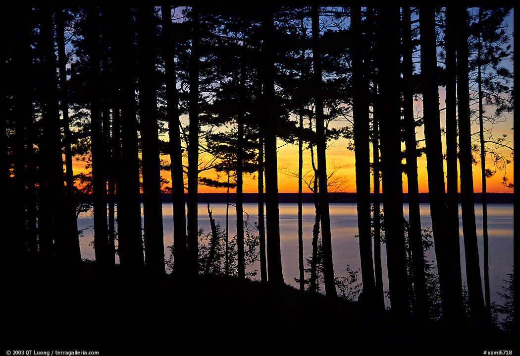 Lake Superior seen through dense trees at sunset,  Pictured Rocks National Lakeshore. Upper Michigan Peninsula, USA